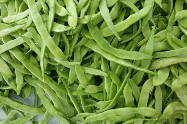 Feijão-verde, vagem