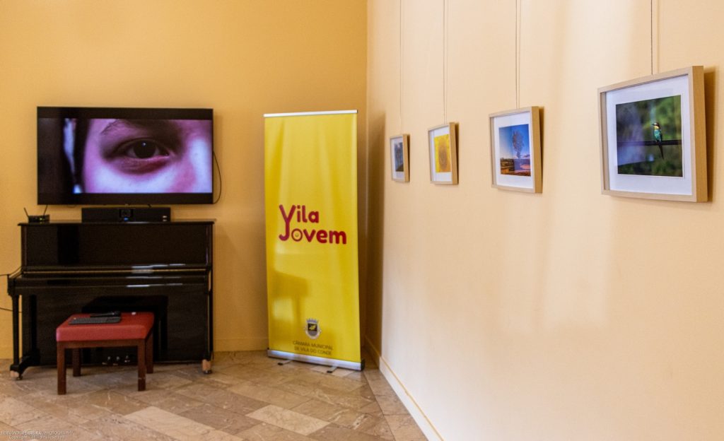Exposição Luísa Ferreira