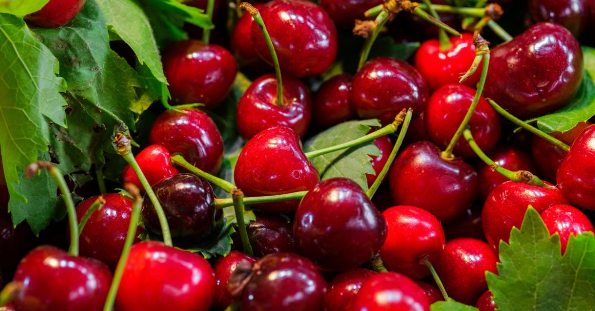 Cerejas